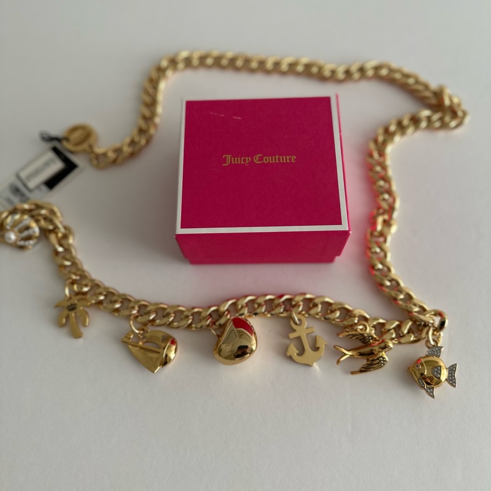 Chain Belt with charms